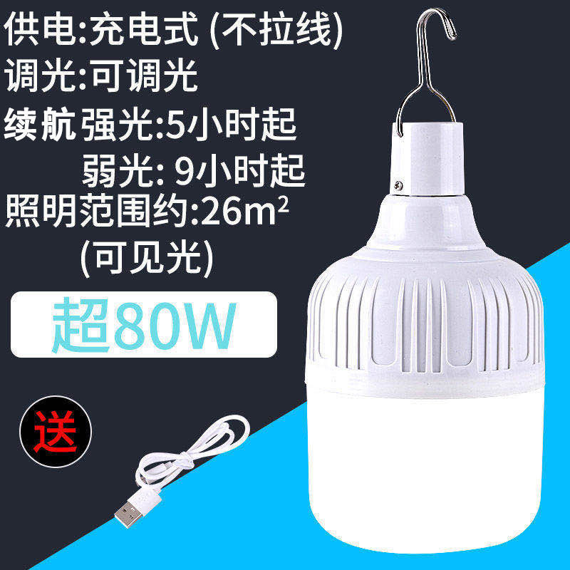 Rechargeable LED Bulb Super Br - Outdoor Lighting Vendor review and price
