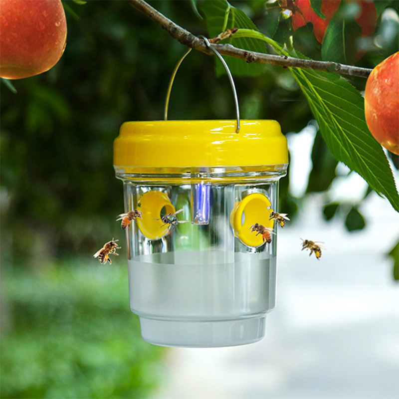 Solar Powered Fruit Fly Traps  - Outdoor Lighting Gazebo review and price