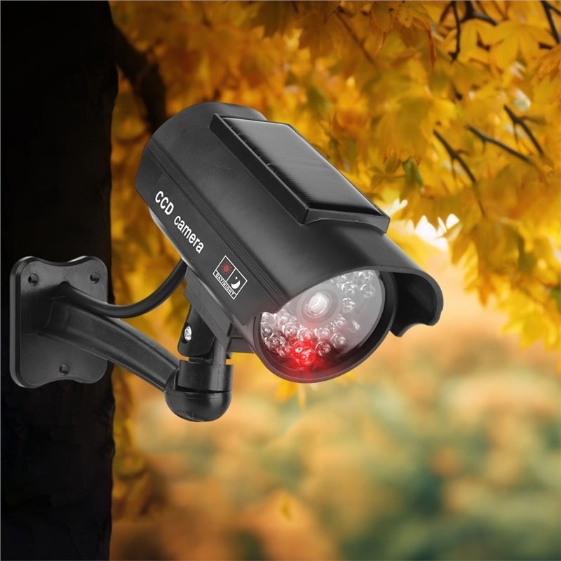[B24B!】 Indoor Or Outdoor Use  - Outdoor Lighting And Camera review and price