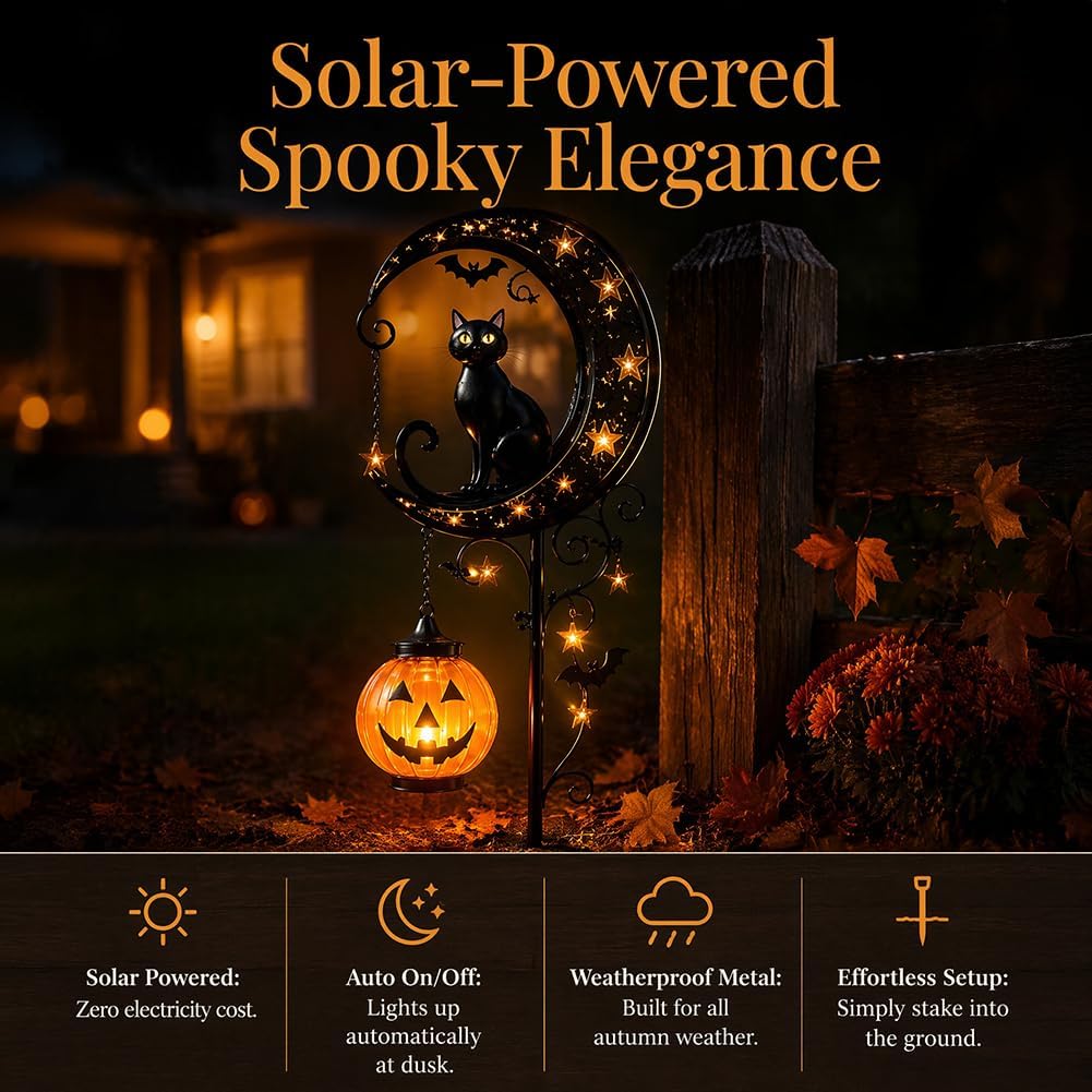Solar Halloween Black Cat & Pu - Outdoor Lighting Ground review and price
