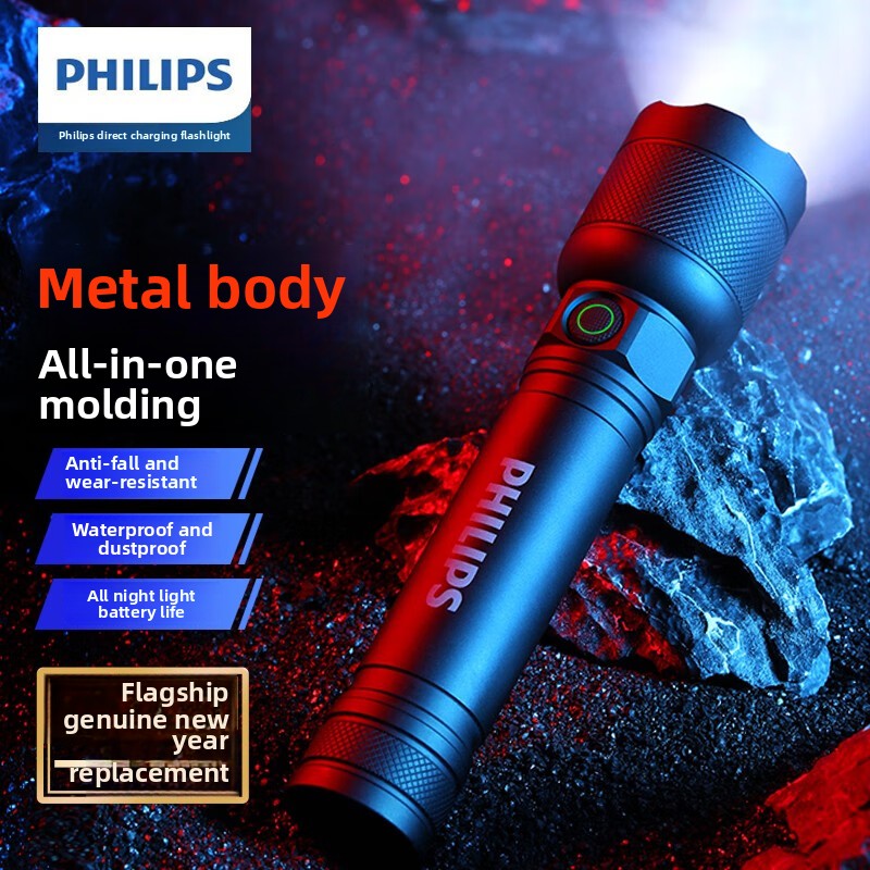 2025 NEW Philips SFL2188 LED A - Outdoor Lighting Setup review and price