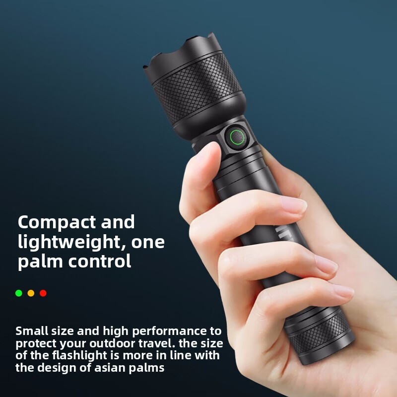 2025 NEW Philips SFL2188 LED A - Outdoor Lighting Setup review and price