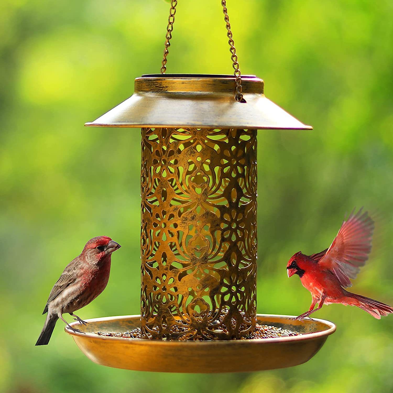 Hanging Bird House Metal Outdo - Outdoor Lighting Ideas For Backyard review and price